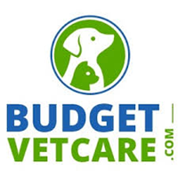Budget Vet Care US SEO