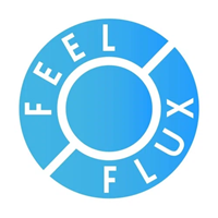 Feel Flux SEO