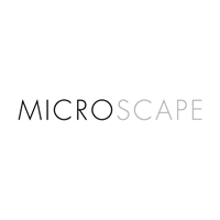 MicroScape US SEO
